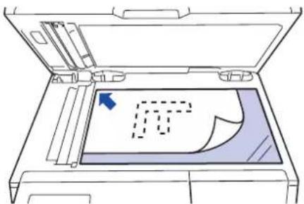 BROTHER HL-L3290CDW - Document Sizes Supported - 3