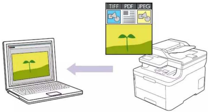 BROTHER HL-L3290CDW - Scan Photos and Graphics Using ControlCenter4 Advanced Mode (Windows) - 1