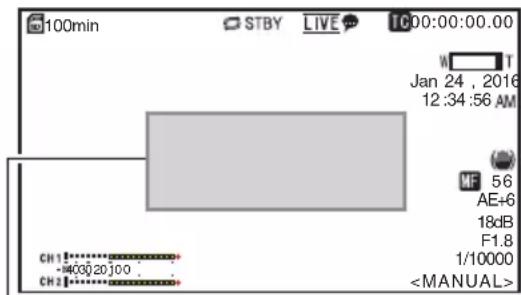 100min STBY LIVE TC00:00:00.00 Jan 24 , 2016 12:34:56 AM MF 56 AE+6 18dB F1.8 1/10000