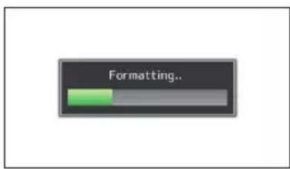 Formatting...