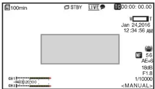 100min STBY LIVE TC 00:00:00.00 Jan 24,2016 12:34:56 AM MF 56 AE+6 18dB F1.8 1/10000