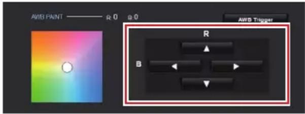 AMB PAINT ———— R: 0 0:0 AWB Trigger R B