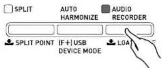 SPLIT AUTO HARMONIZE AUDIO RECORDER SPLIT POINT (F+) USB DEVICE MODE LOA