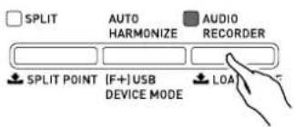 SPLIT AUTO HARMONIZE AUDIO RECORDER SPLIT POINT (F+) USB DEVICE MODE LOAD