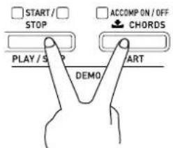 START/ STOP ACCOMP ON/OFF CHORDS PLAY/S PART DEMO