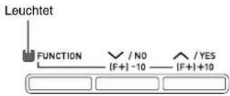 Leuchtet FUNCTION / NO / YES (F+) -10 (F+) +10
