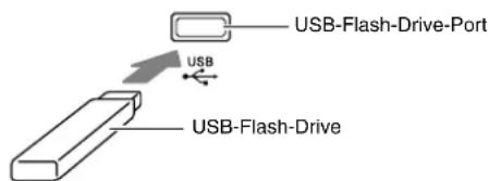 USB-Flash-Drive-Port USB USB-Flash-Drive
