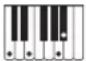 CASIO Privia PX-360 - Leitfaden zur Eingabe von Akkorden - 47