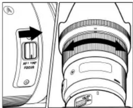 AF + 1MP FOCUS