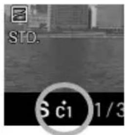 STD. 6 c1 1/3