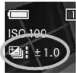 ISO 100 ±1.0
