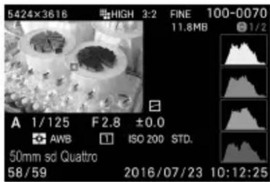 5424×3618 HIGH 3:2 FINE 100-0070 11.8MB 1/2 A 1/125 F2.8 ±0.0 AWB ISO 200 STD. 50mm sd Quattro 58/59 2016/07/23 10:12:25