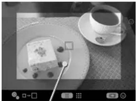 SIGMA sd Quattro - SETTING THE FOCUS FRAME - 2