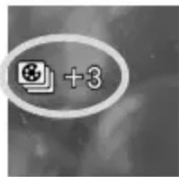 +3