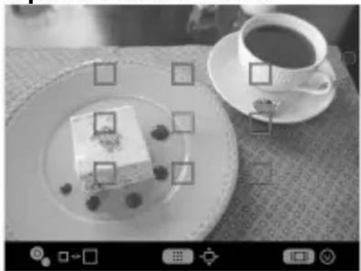SIGMA sd Quattro - SETTING THE FOCUS FRAME - 1