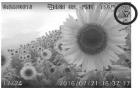 SIGMA sd Quattro - USING Eye-Fi CARD (Eye-Fi Connected) - 7