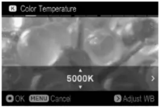 K Color Temperature 5000K > OK MENU Cancel > Adjust WB
