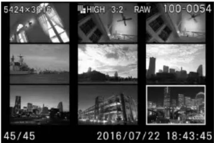 5424×3616 HIGH 3:2 RAW 100-0054 45/45 2016/07/22 18:43:45