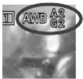 1 AWB A2 G2