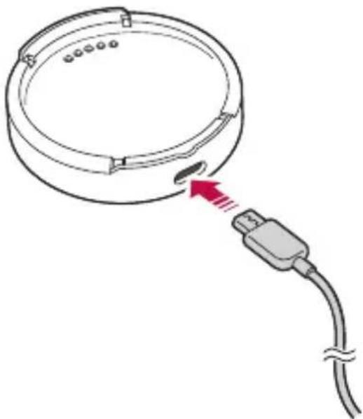 LG Watch W7 - Do NOT attempt to remove the back cover. - 1