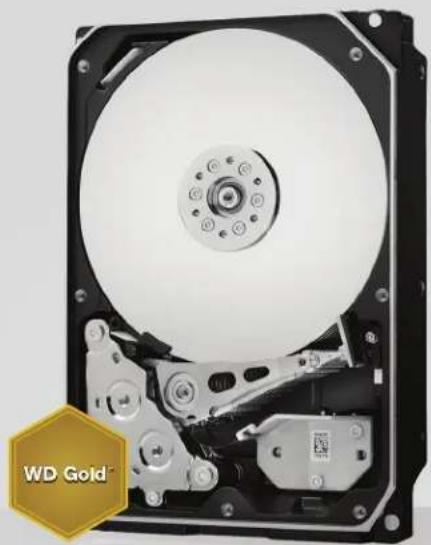WESTERN DIGITAL Gold - Datacenter Hard Drives - 1