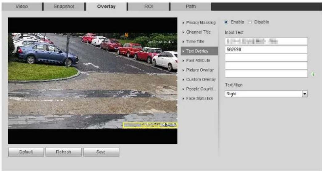 Dahua Technology IPC-HDW3541T-ZAS - Configure Text Overlay - 2