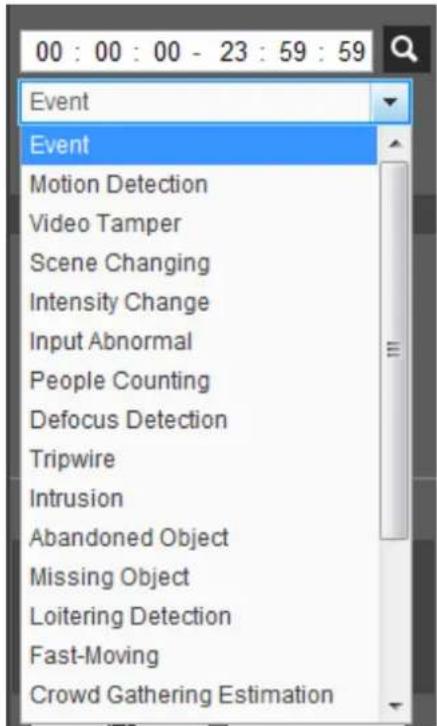 Dahua Technology IPC-HFW3841E-AS - Playing back Video or Picture - 3