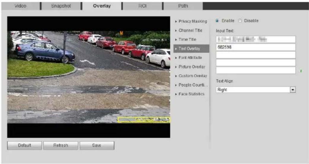Dahua Technology IPC-HDBW3841E-AS - Configuring Text Overlay - 2