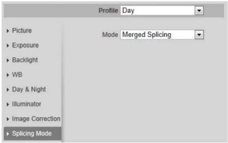 Dahua Technology IPC-HDBW3841E-AS - Splicing Mode - 1
