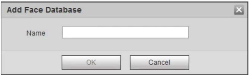 Dahua Technology IPC-HDBW3841E-AS - Creating Face Database - 2