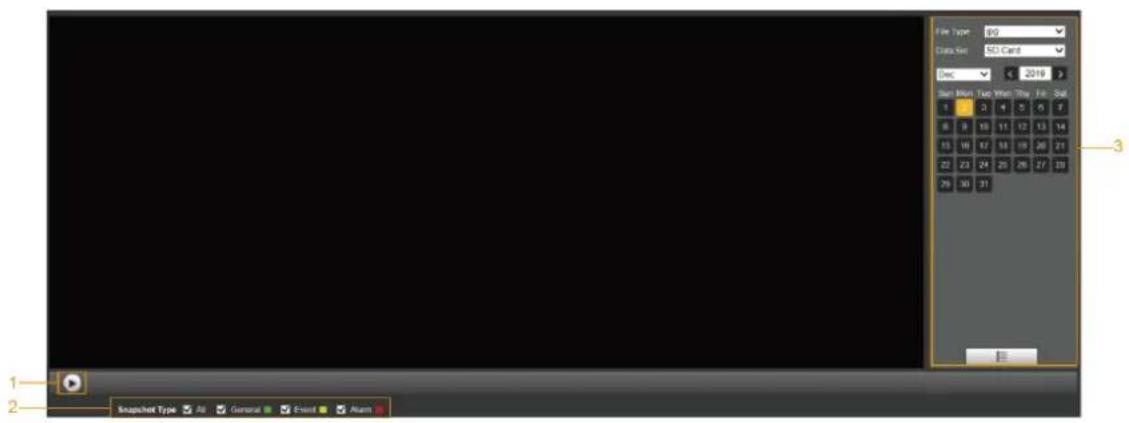 Dahua Technology PTZ1A225-HNR-XA - Picture Playback - 1