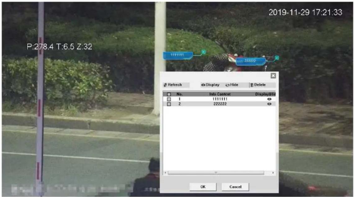 Dahua Technology PTZ1A225-HNR-XA - Video Window Functions - 4