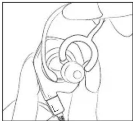 Audeze iSINE 10 - Installation des cornes d'oreilles - 1
