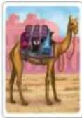Asmodee Jaipur - SPIELMATERIAL - 7