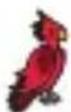 Asmodee Dobble Harry Potter - Beispiele einiger Symbole - 10