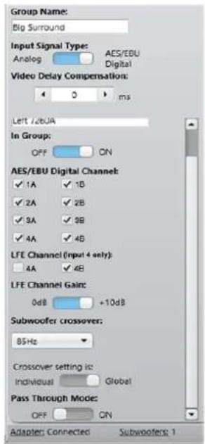 Group Name: Big Surround Input Signal Type: Analog AES/EBU Digital Video Delay Compensation: 0 ms Left /dBJA In Group: OFF ON AES/EBU Digital Channel: ✓ 1A ✓ 1B ✓ 2A ✓ 2B ✓ 3A ✓ 9B ✓ 4A ✓ 4B LFE Channel (input 4 only): 4A ✓ 4B LFE Channel Gain: 0dB +10dB Subwoofer crossover: 85Hz Crossover setting is: Individual Global Pass Through Mode: OFF ON Adapter: Connected Subwoofer: 1