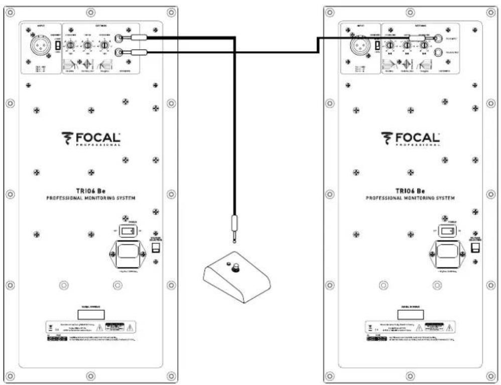 FOCAL Trio6 Be - - SALIDA - 1