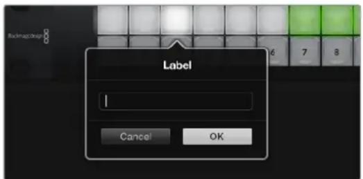 BackpropDialog Label Cancel OK