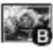 OPTOMA DC552 - - Leuchte - 5