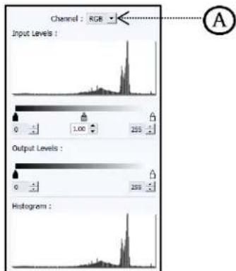 DgFlick Video Xpress - Level - 2