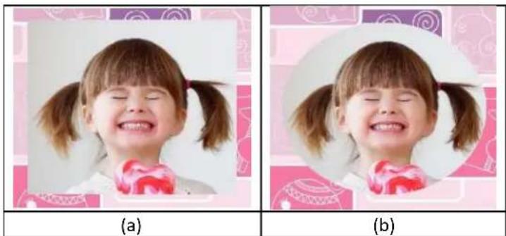 DgFlick Gift Xpress - Add Mask - 2