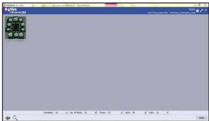 DgFlick Gift Xpress - Save, Build and Share Template \* - 6