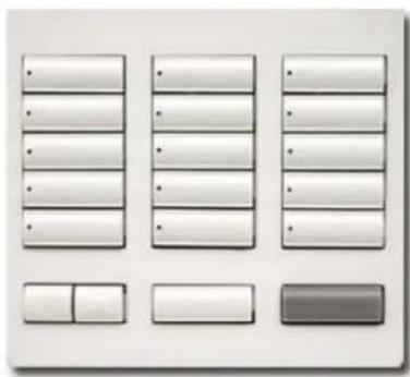 Lutron RR-T10RL-SW - Botoneras de sobremesa RadioRA® 2 Designer - 4