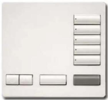 Lutron RR-T10RL-SW - 1