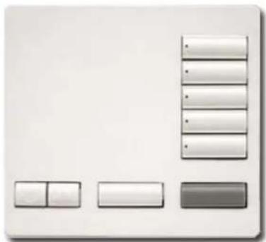 Lutron RR-T10RL-SW - Farben und Oberfl ächen - 3
