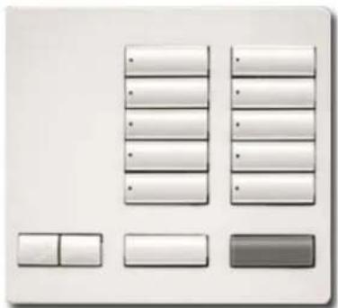 Lutron RR-T10RL-SW - Botoneras de sobremesa RadioRA® 2 Designer - 5