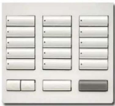 Lutron RR-T10RL-SW - Botoneras de sobremesa RadioRA® 2 Designer - 2