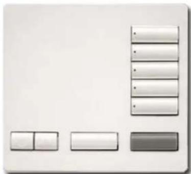 Lutron RR-T10RL-SW - RadioRA® 2 Tabletop Designer Keypads - 1
