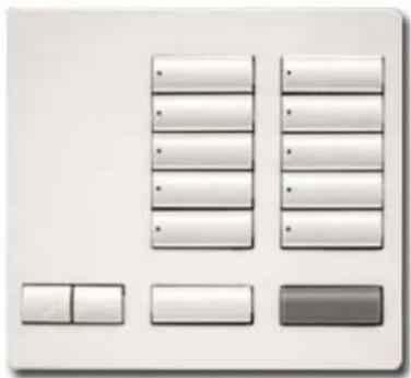 Lutron RR-T10RL-SW - Botoneras de sobremesa RadioRA® 2 Designer - 1