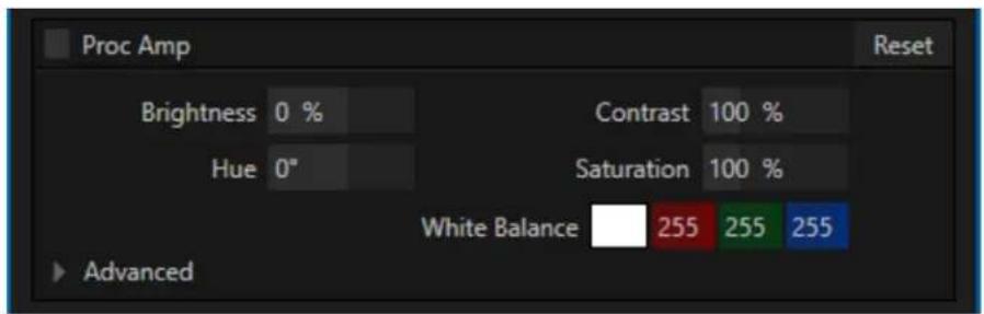 Proc Amp Reset Brightness 0 % Hue 0° Contrast 100 % Saturation 100 % White Balance 255 255 255 Advanced
